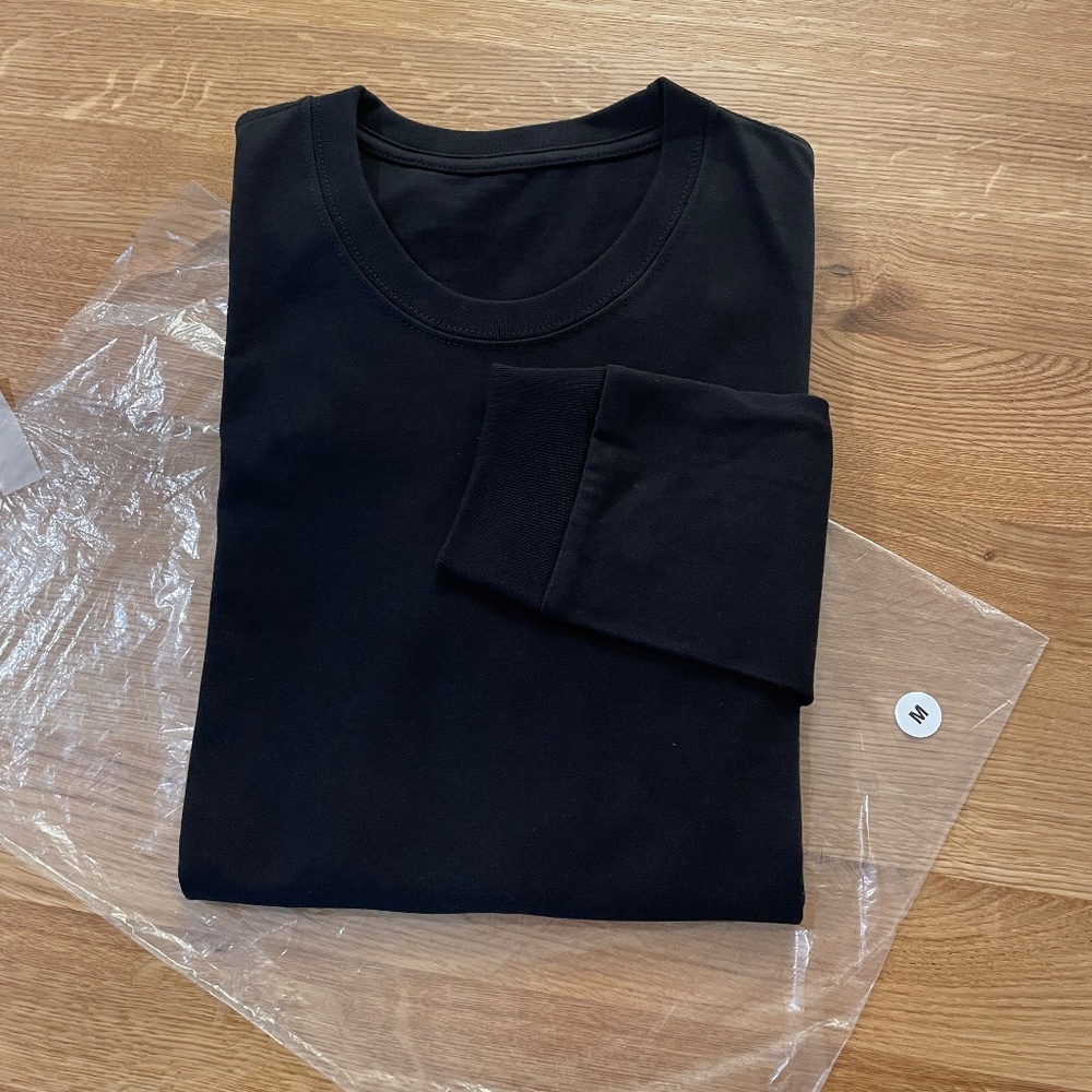 House of Blanks Heavyweight L/S T-Shirt in Black